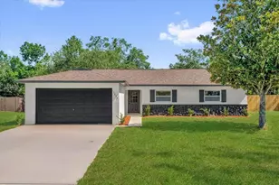 13645 Berkshire Ct, Grand Island, FL 32735 - Photo 1