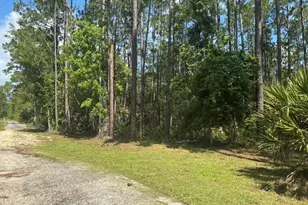 Ward St, Astor, FL 32102 - Photo 1