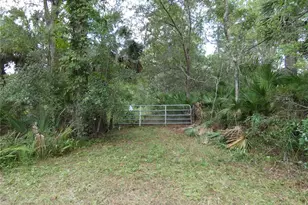 1275 Davidson Dr, Pierson, FL 32180 - Photo 1
