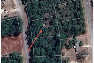 105 Sun Flower Dr, Lake Placid, FL 33852 - Photo 1