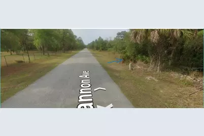 8186 N Shannon Avenue, Crystal River, FL 34428 - Photo 1