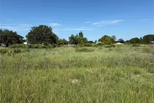 600 S Dickey Rd, Avon Park, FL 33825 - Photo 1