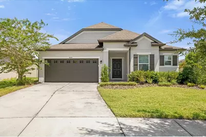 8064 Olive Brook Drive, Wesley Chapel, FL 33545 - Photo 1