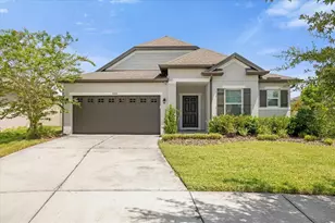 8064 Olive Brook Dr, Wesley Chapel, FL 33545 - Photo 1