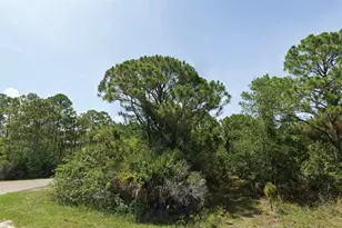 Autumnleaf Terrace, North Port, FL 34288 - Photo 1