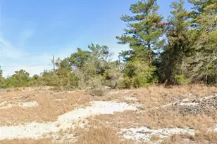 601 Homosassa Way, Kissimmee, FL 34759 - Photo 1