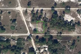 304 Sunflower Ave, Lake Placid, FL 33852 - Photo 1