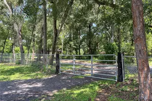 8105 Gilliam Rd, Apopka, FL 32703 - Photo 1