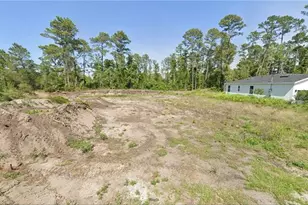 23 Malauka Pass, Ocklawaha, FL 32179 - Photo 1