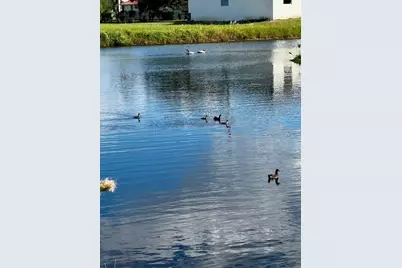 24383 Belize Court, Punta Gorda, FL 33955 - Photo 1