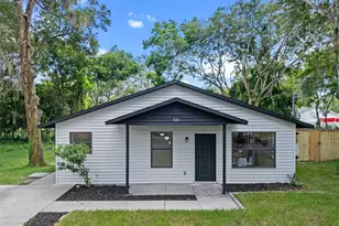 520 Jackson Ave, Mount Dora, FL 32757 - Photo 1