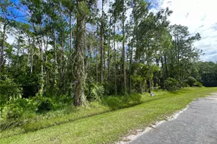 14421 Winterset Dr, Orlando, FL 32832 - Photo 1