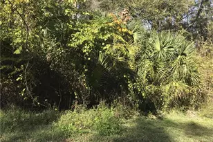 Lot 14, Lake Panasoffkee, FL 33538 - Photo 1