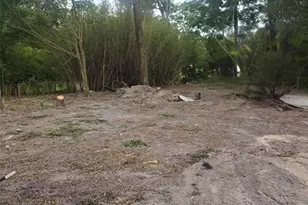 16612 SE 25th Ave, Summerfield, FL 34491 - Photo 1