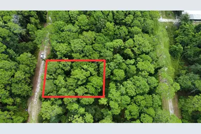 413 Dogwood Avenue, Georgetown, FL 32139 - Photo 1