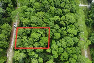 413 Dogwood Ave, Georgetown, FL 32139 - Photo 1