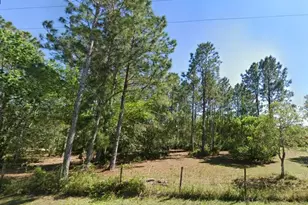 26300 Pheasant Run, Wesley Chapel, FL 33544 - Photo 1