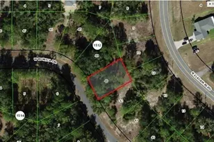 11893 N Monica Dr, Citrus Springs, FL 34433 - Photo 1