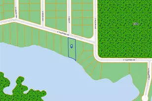 10124 E Tuliptree Dr, Inverness, FL 34450 - Photo 1