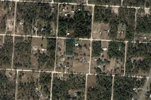 SE 25th St, Morriston, FL 32668 - Photo 1