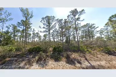 3334 Barn Swallow Avenue, Lake Placid, FL 33852 - Photo 1