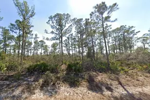 3334 Barn Swallow Ave, Lake Placid, FL 33852 - Photo 1