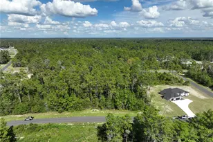 Undetermined, Ocala, FL 34473 - Photo 1