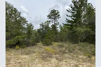 4468 W Malaluka Circle, Citrus Springs, FL 34433 - Photo 1