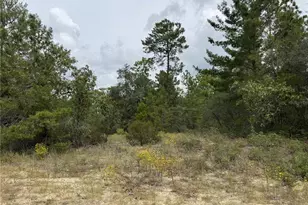 4468 W Malaluka Cir, Citrus Springs, FL 34433 - Photo 1