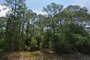 6034 Dian Ave, Sebring, FL 33875 - Photo 1