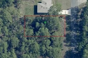 7742 N Quibble Ave, Dunnellon, FL 34434 - Photo 1