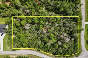 13753 Sand Oak Ct, Hudson, FL 34669 - Photo 1