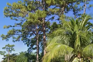 00 Cambridge St, Lake Worth, FL 33463 - Photo 1