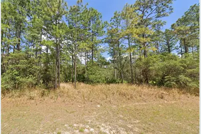 4497 N Canarywood Terrace, Beverly Hills, FL 34465 - Photo 1