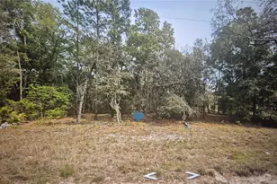 120 Lancaster St, Interlachen, FL 32148 - Photo 1