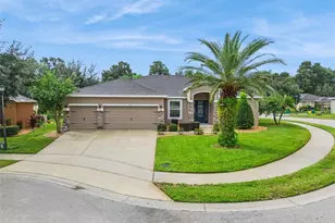 701 Fringe Tree Ct, Deland, FL 32724 - Photo 1