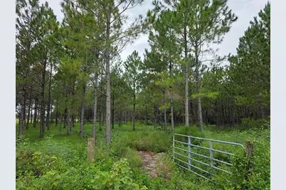 10830 Moore Road, Lakeland, FL 33809 - Photo 1