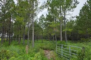 10830 Moore Rd, Lakeland, FL 33809 - Photo 1