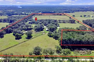 551 NE 200th Ave, Williston, FL 32696 - Photo 1