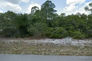 1132 Wildflower St, Lake Placid, FL 33852 - Photo 1