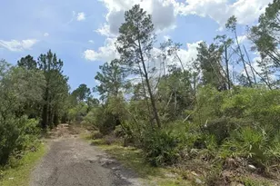 Aster Terrace, Deland, FL 32724 - Photo 1