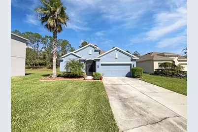 3263 Plumlee Court, Grand Island, FL 32735 - Photo 1