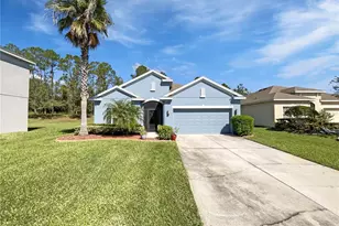 3263 Plumlee Ct, Grand Island, FL 32735 - Photo 1