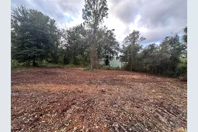 323 Carteret Road, Georgetown, FL 32139 - Photo 1