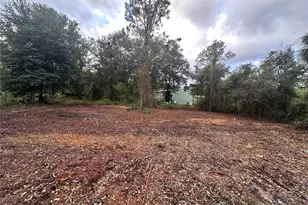 323 Carteret Rd, Georgetown, FL 32139 - Photo 1