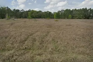 SW 151st Ct, Ocala, FL 34481 - Photo 1