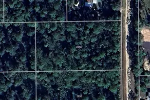 2858 Royal Palm Dr, Bunnell, FL 32110 - Photo 1