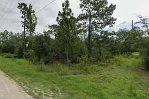 Goldfinch Rd, Weeki Wachee, FL 34614 - Photo 1