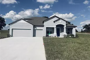 10182 White Magnolia Sq, Thonotosassa, FL 33592 - Photo 1
