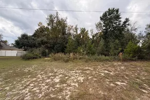 Marion Oaks Manor, Ocala, FL 34473 - Photo 1